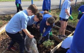 Primary 7 getting down to work