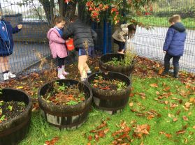 P1-3 Outdoor Learning 🌲🌧